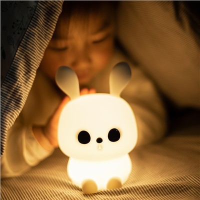 버니 나이트 라이트